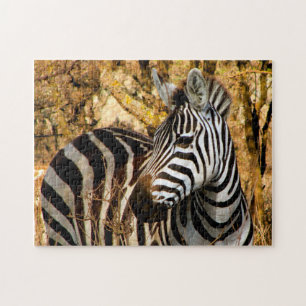 Afrikanisches Zebra Puzzle