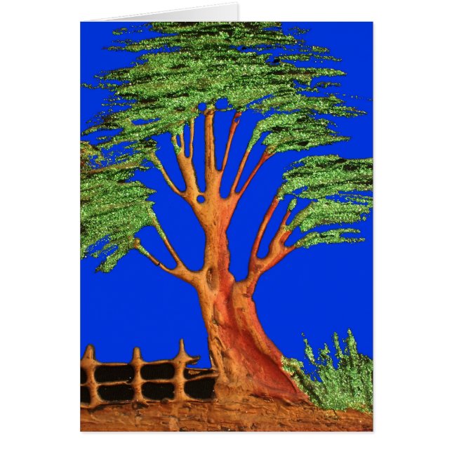 Afrikas Acacia Beauty: Serengeti Serenity. (Vorne)