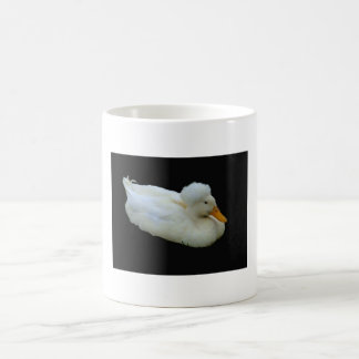 Afro-ente, AFRO, Ente Tasse