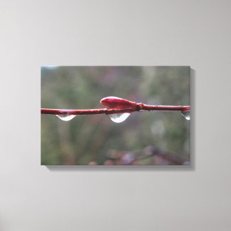 After the Rain Leinwanddruck