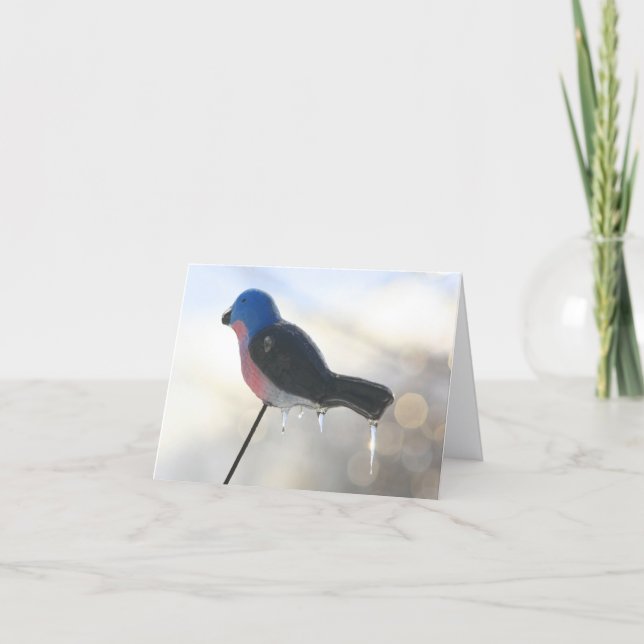 After The Storm Winter Nature Photography Note Karte (Vorderseite)