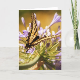 Afternoon Delight Greeting Card Karte