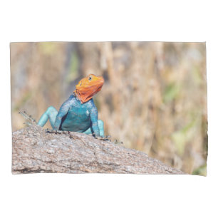 Agama Kissenbezug