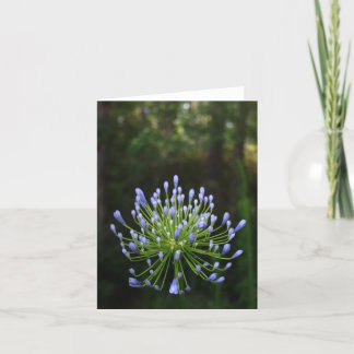 Agapanthus-Anmerkungs-Karte Karte