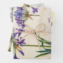 Agapanthus Blume Ephemera Collage Art