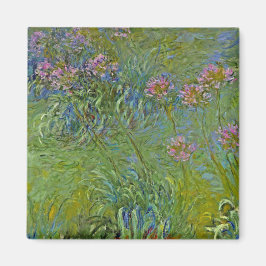 Agapanthus-Blume (von Claude Monet) Magnet