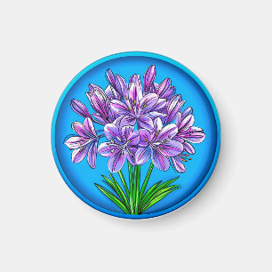 Agapanthus-Blüte 🌸✨ Kühnblaue Blumen-Eleganz Magnet