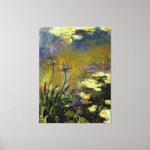 Agapanthus Leinwanddruck