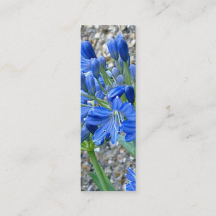 Agapanthus-Lesezeichen-Geschäfts-Karte Mini Visitenkarte