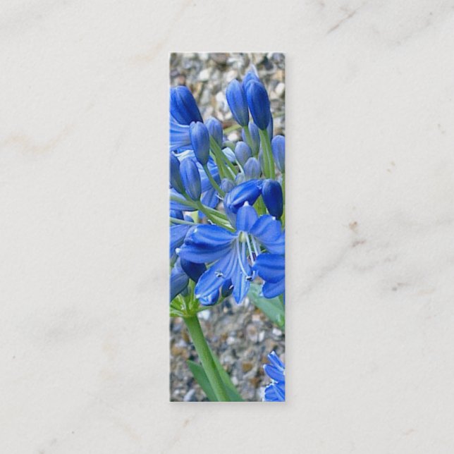 Agapanthus-Lesezeichen-Geschäfts-Karte Mini Visitenkarte (Vorderseite)