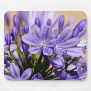Agapanthus Mousepad