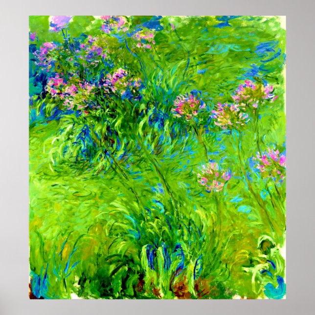 Agapanthus von Claude Monet Poster (Vorne)
