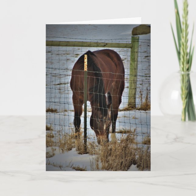 "Agape Acres" Geburtstagskarte Karte (Vorderseite)
