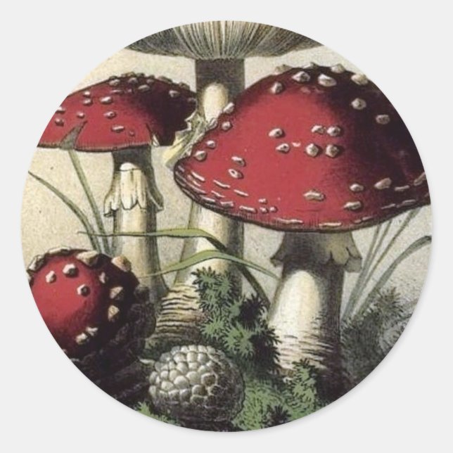 Agaricus Muscarius Mushroom Runder Aufkleber (Vorderseite)