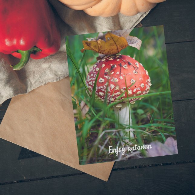 Agaricus-Pilz Postkarte (Von Creator hochgeladen)