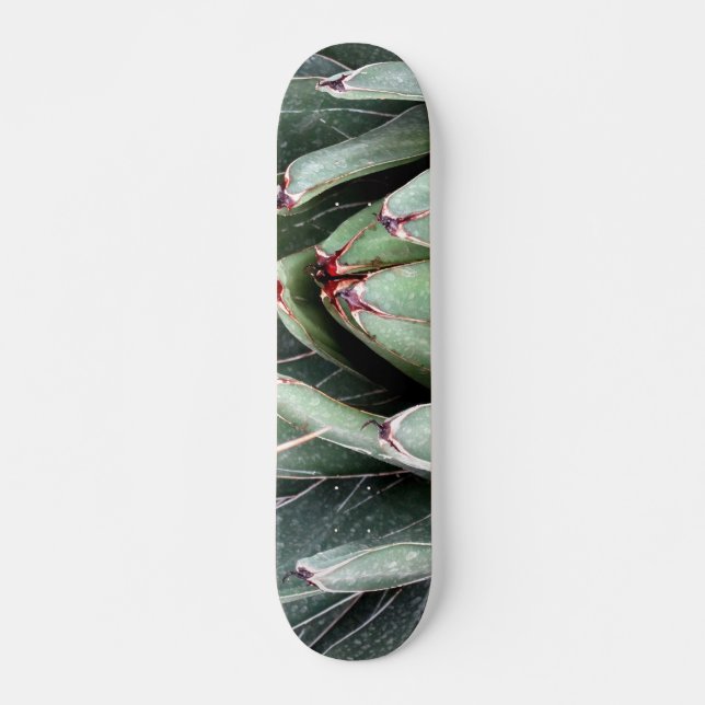 Agave Aloe Vera Pflanze Foto Skate Skateboard (Vorne)
