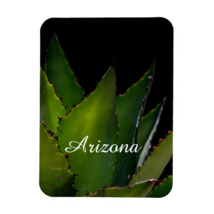 Agave Arizona Magnet