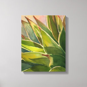 Agave attenuata Wasserfarbe von Debra Lee Baldwin Leinwanddruck