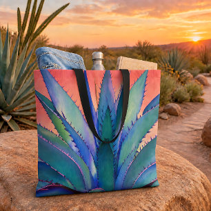 Agave bei Sonnenuntergang