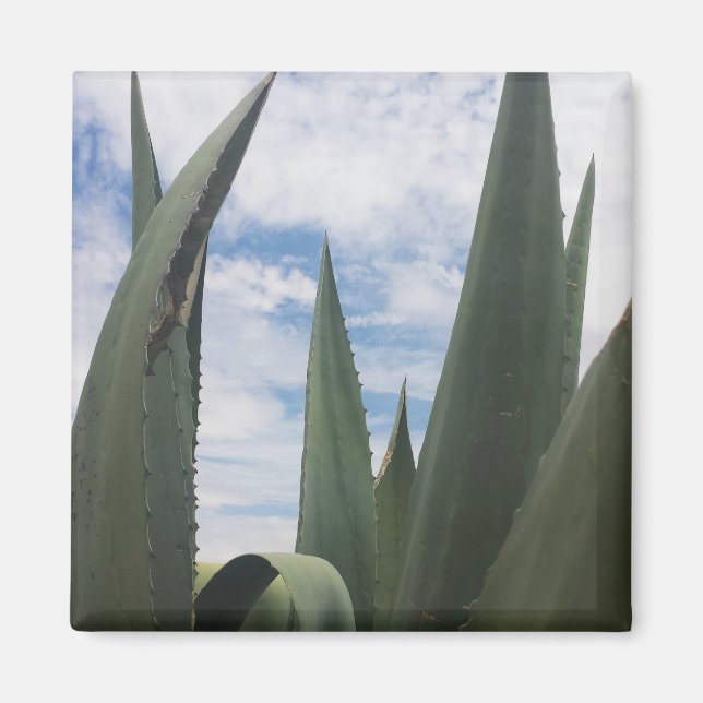 Agave Clouds Magnet (Vorne)