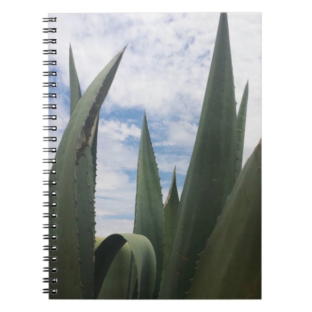 Agave Clouds Notizblock (Vorderseite)