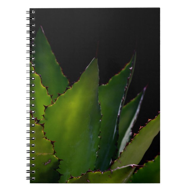 Agave glühen notizblock (Vorderseite)