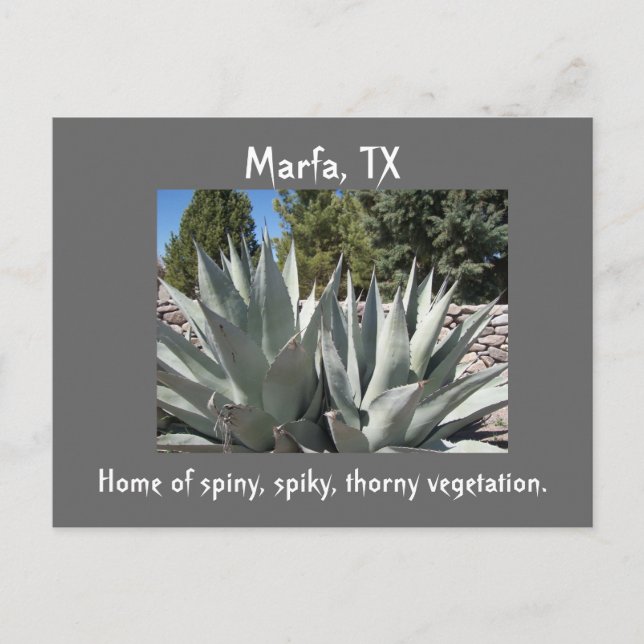Agave Marfa, Texas Postkarte (Vorderseite)