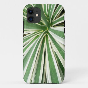 Agave Pflanze grün und weiß gestrichen Case-Mate iPhone Hülle
