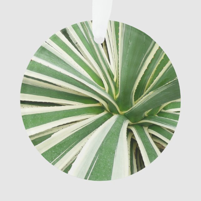 Agave Pflanze grün und weiß gestrichen Ornament (Vorderseite)