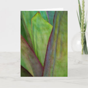 Agave Plant Detail Karte