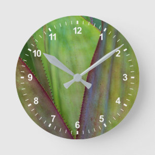 Agave Plant Detail Runde Wanduhr