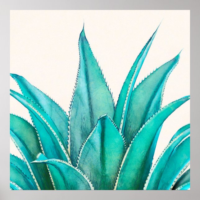 Agave Poster (Vorne)