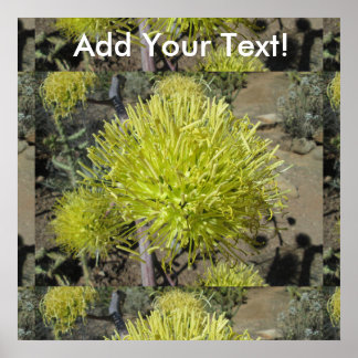 Agave Riese Blume Cluster Poster