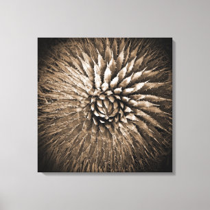 Agave Sepia Print auf Leinwand 22" x 22"