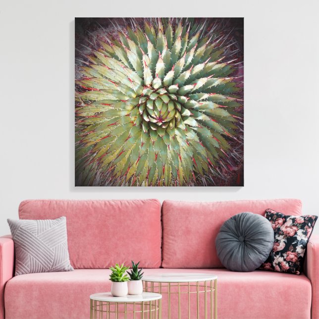 Agave Spikes Green Fine Art Square Leinwanddruck (Insitu (Wohnzimmer))