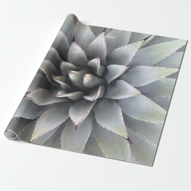 Agave Sukkulente Pflanze Cactus Green Salbei Geschenkpapier (Ungerollt)