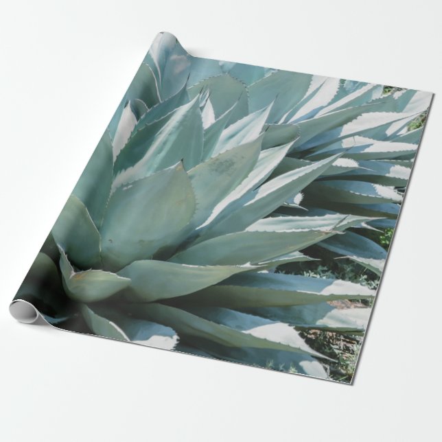 Agave Sukkulente Pflanze Cactus Green Salin grau Geschenkpapier (Ungerollt)