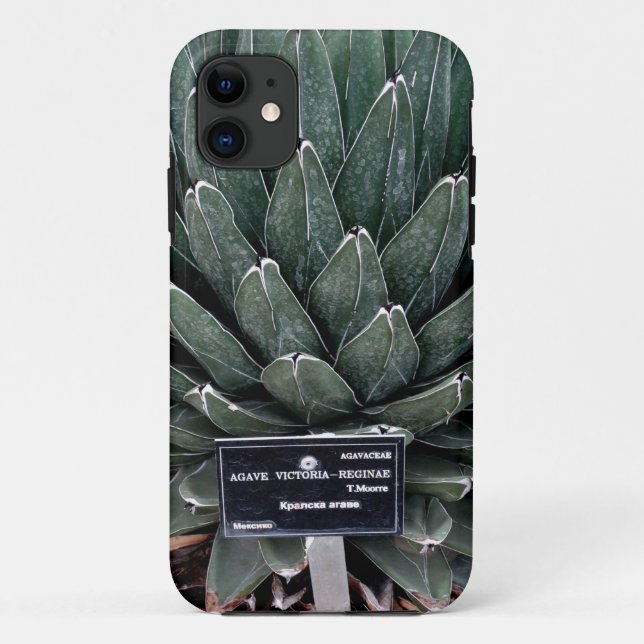 Agave Victoria Foto iPhone SE + iPhone 5/5S Case-Mate iPhone Hülle (Rückseite)