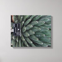 Agave Victoria Pflanze Foto Wrapped Canvas Print