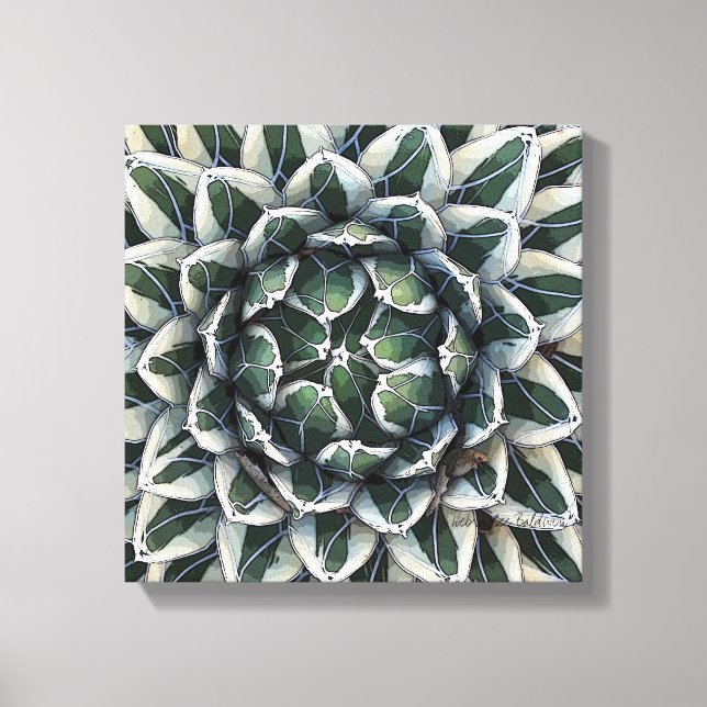 Agave victoria reginae Foto von Debra Lee Baldwin Leinwanddruck (Vorderseite)