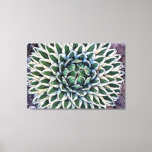 Agave victoriae reginae Canvas Print Leinwanddruck (Vorderseite)