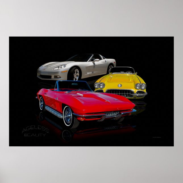 Ageless Buauty Poster (Vorne)