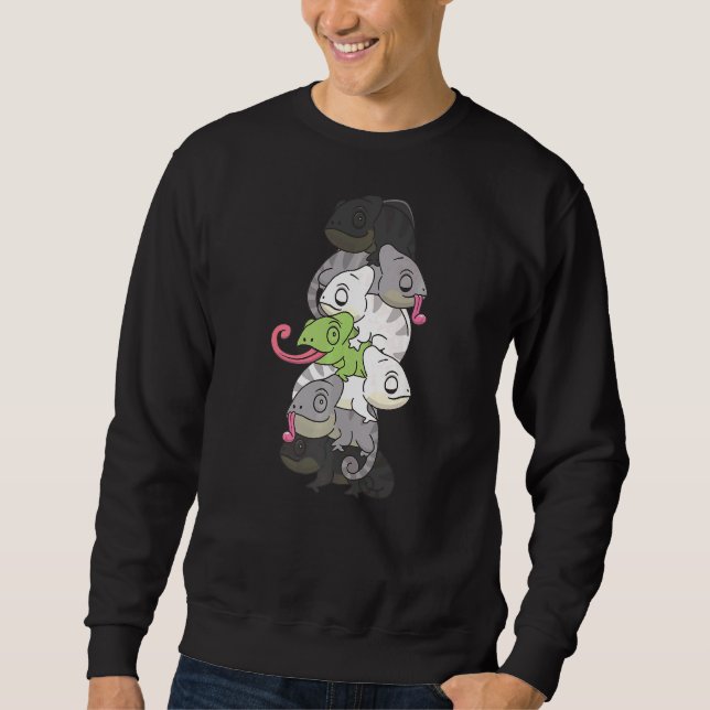 Agende Flag Gender Pride Lgbtq Chameleon Sweatshirt (Vorderseite)