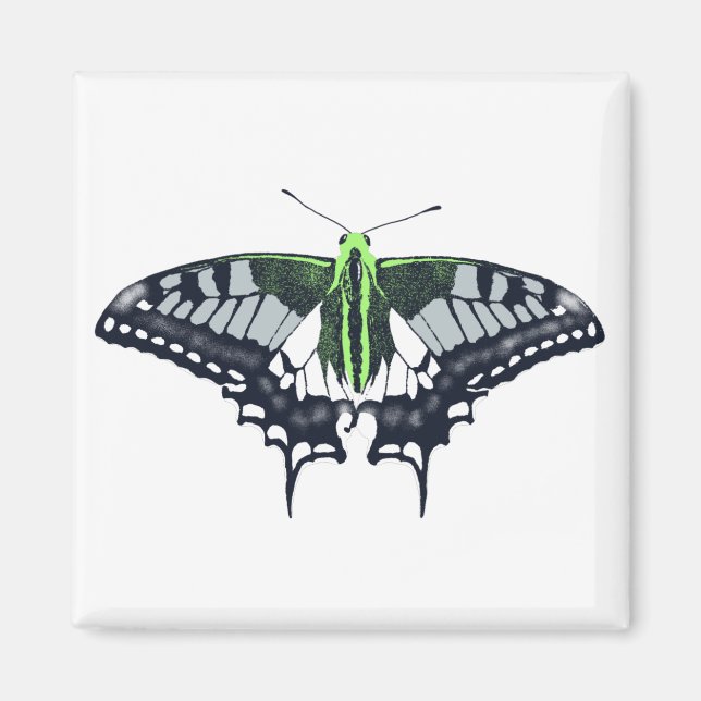 Agender Flag Swallowtail Butterfly Magnet (Vorne)