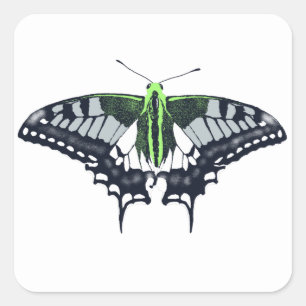 Agender Flag Swallowtail Butterfly Quadratischer Aufkleber