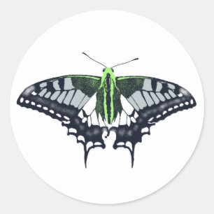 Agender Flag Swallowtail Butterfly Runder Aufkleber