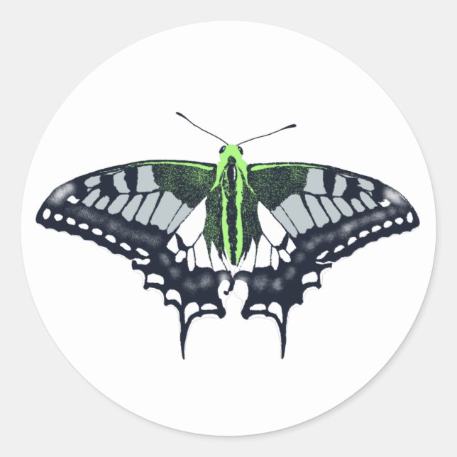 Agender Flag Swallowtail Butterfly Runder Aufkleber (Vorderseite)