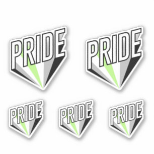 Agender Pride Burst Aufkleber