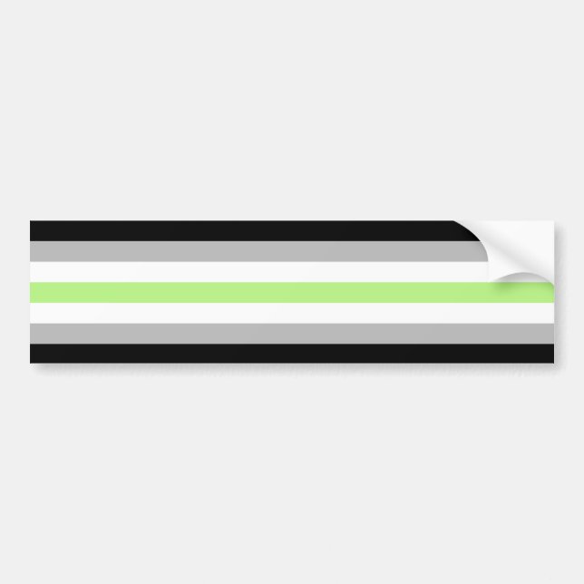 Agender Pride Flag Autoaufkleber (Vorne)