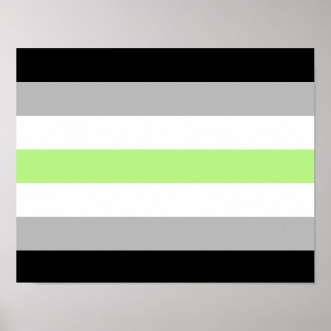 Agender Pride Flag Poster (Vorne)